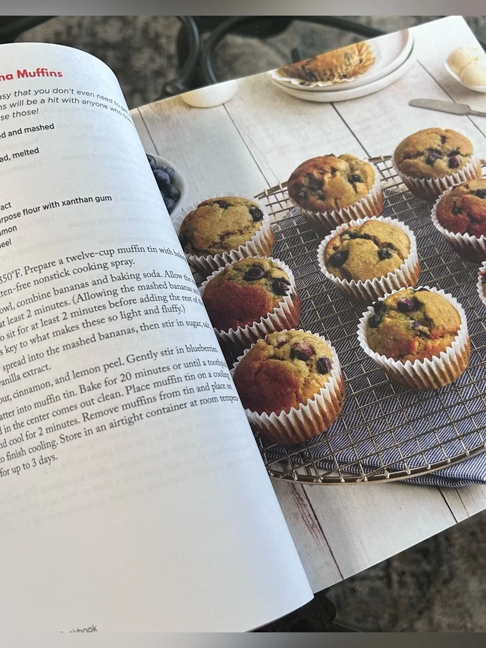 The Everything Gluten-Free & Dairy-Free Cookbook